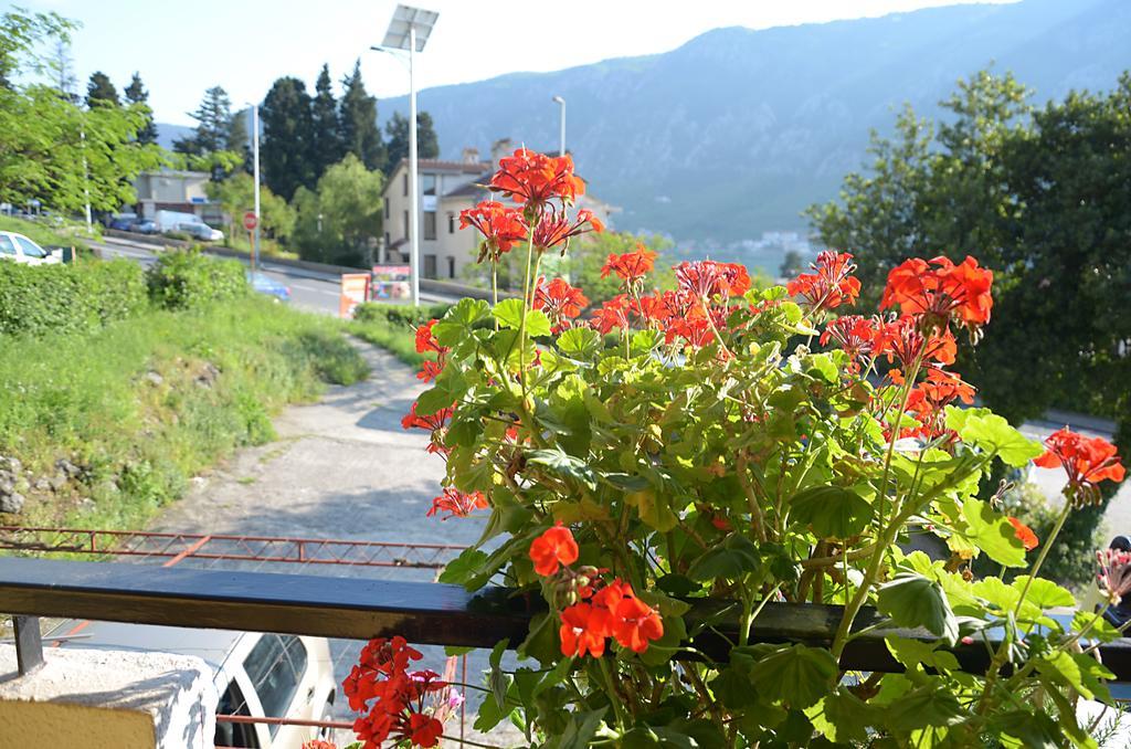 Apartment Luka Kotor Eksteriør billede